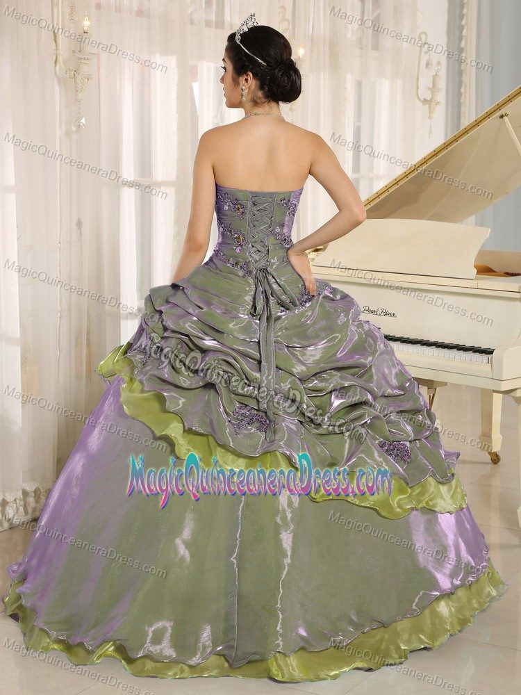 Multi-colored Embroidery Quinceanera Gowns in Wiesbaden Germany