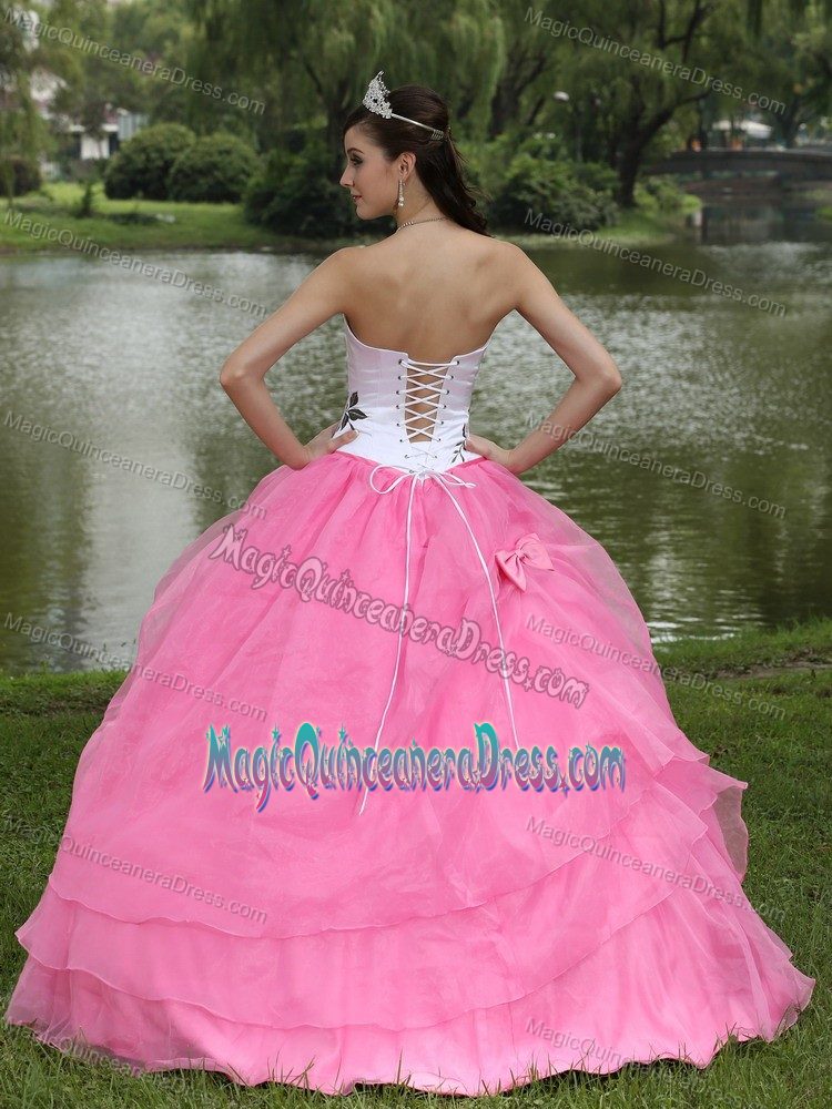 Strapless Embroidery Rose Pink Dress For Quinceanera in Warstein