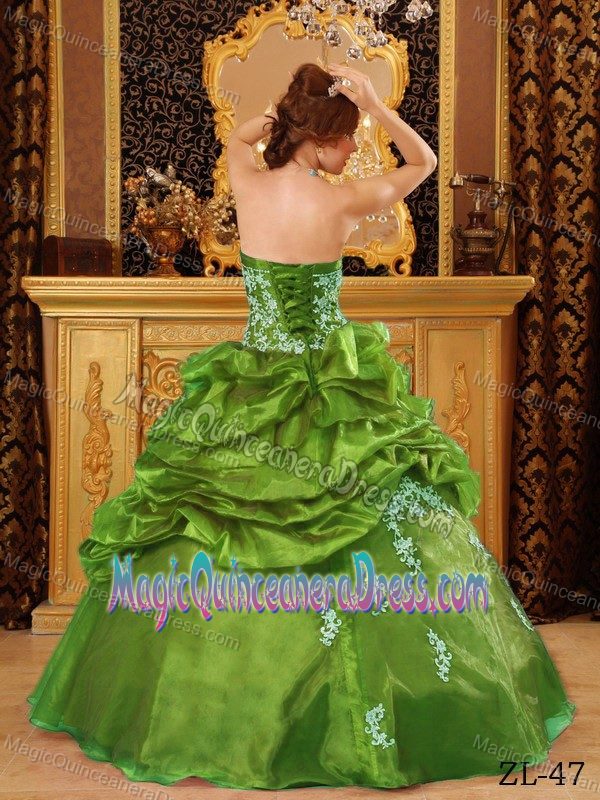 Organza Olive Green Appliques Sweet 16 Dresses in Langen Germany