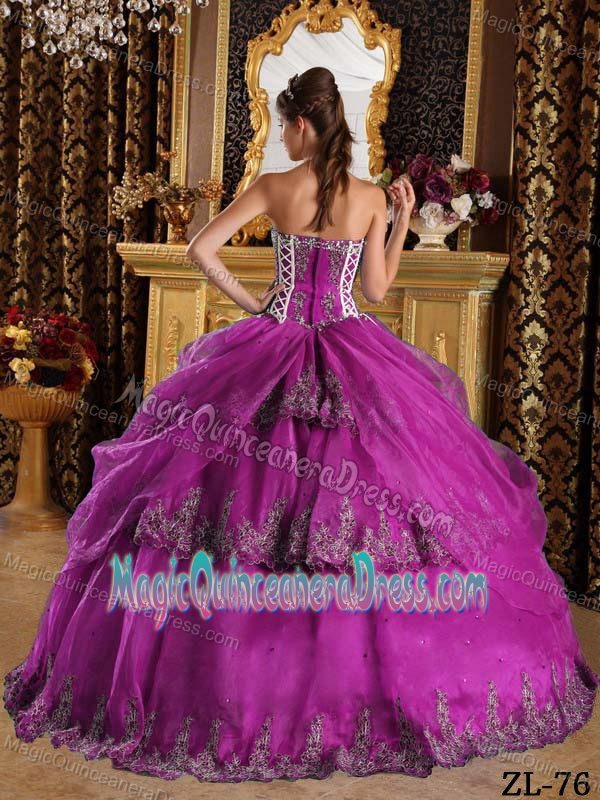 Fuchsia Organza Sweetheart Sweet Sixteen Dresses with Appliques
