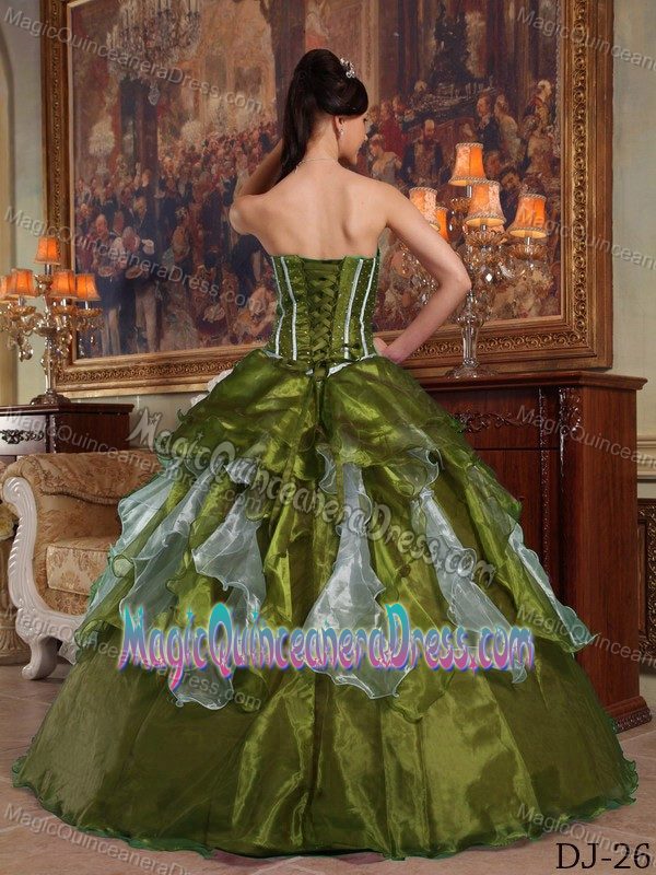 Ruffled Layers Olive Green Beading Sweet 16 Dresses in Barleben