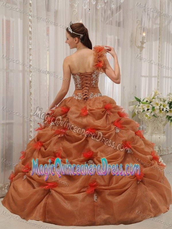 Rust Red Appliques One-shoulder Quinceanera Dress in Augustdorf