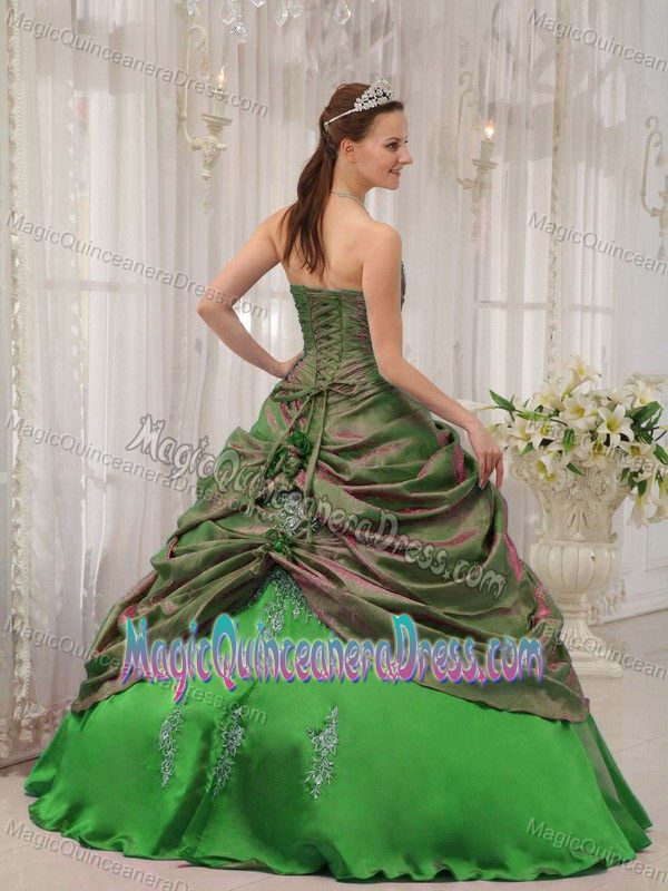 Appliques Green Taffeta Sweet Sixteen Dresses with Pick-ups 2013