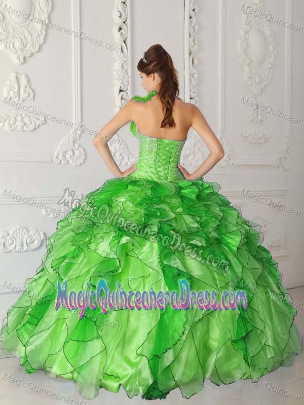 Green One Shoulder Beading and Appliques Sweet 15 Dresses in Ashville