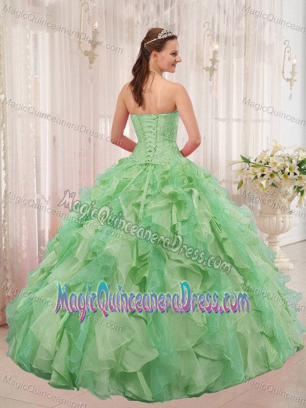 Sweetheart Style with Appliques Quinceanera Gown Dresses in Arlington