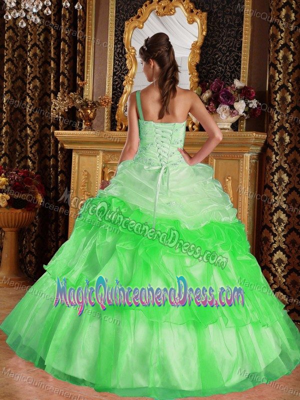 One Shoulder Appliques with Beadings Quinceanera Gowns in Arab