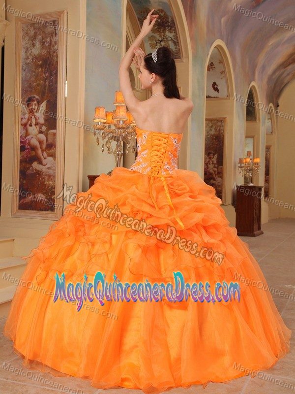 Sweetheart Appliques Accent Quinceanera Gown in Anniston with Pick-ups