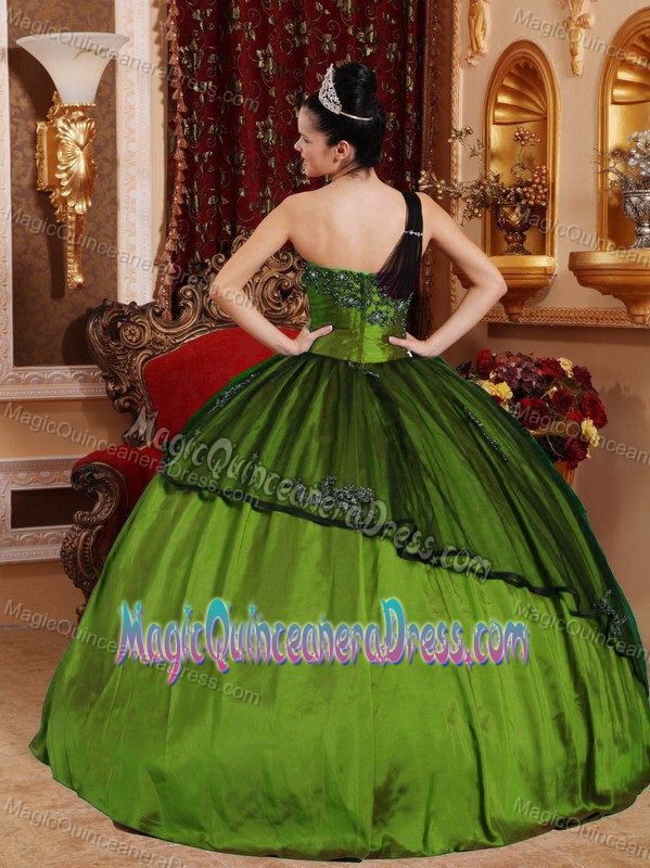 Olive Green One Shoulder Dress For Quinceaneras with Beads and Appliques