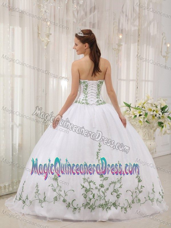 Sweetheart Quinceanera Gown in Fort Deposit with Embroidery Accent