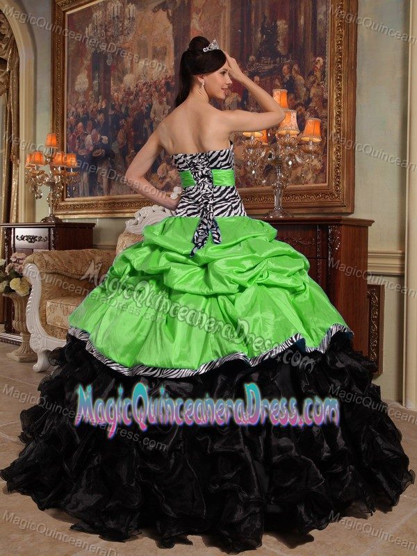 Sweetheart Pick-ups Taffeta and Organza Dress For Quinceanera in Fairhope