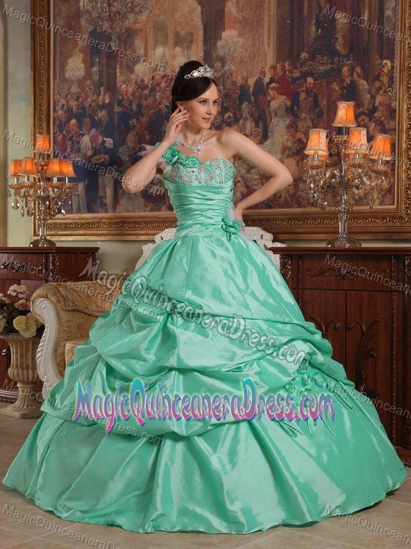One Shoulder Hand Flowers Taffeta Quinceanera Dress in Delta with Pick-ups