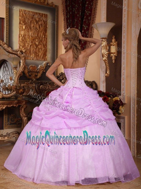 Lavender Strapless Organza Quinceanera Gowns in Chelsea with Appliques