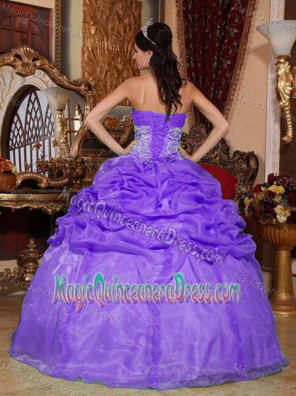 Purple Strapless Appliques Accent Quinceanera Dresses in Bon Secour