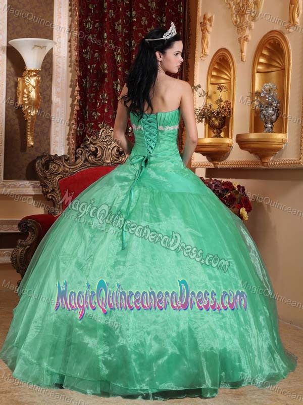 Ball Gown Style Strapless Organza Appliques Quinces Dresses in Bessemer