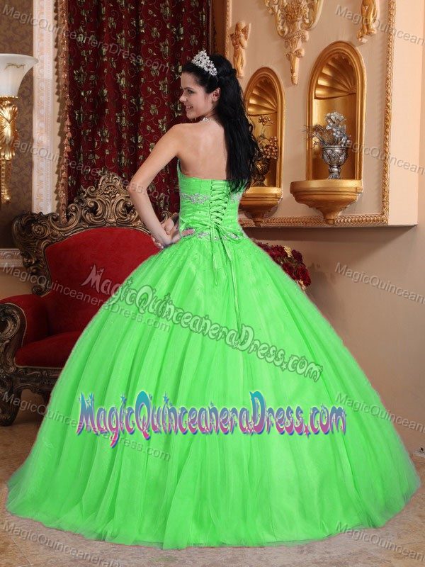 Green Sweetheart Sweet Sixteen Dresses in Ashford Beading Decorate