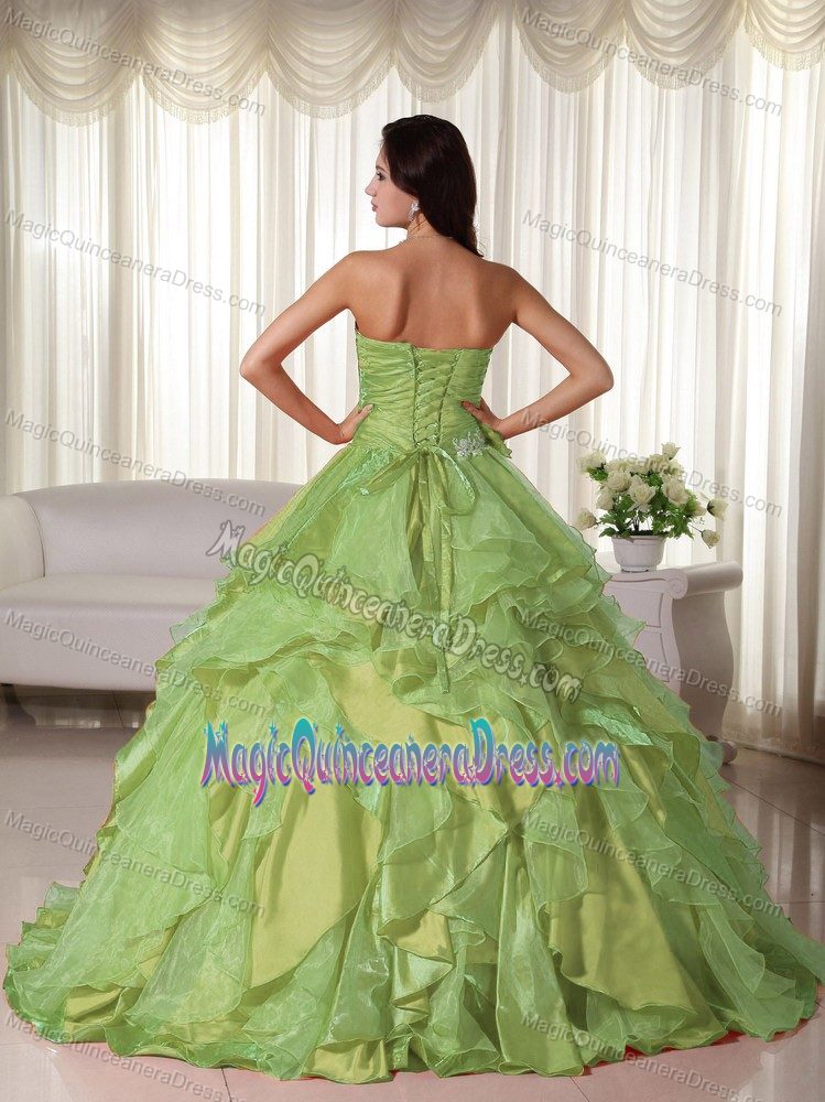 Yellow Green Sweetheart Organza Quinceanera Dress Appliques Accent