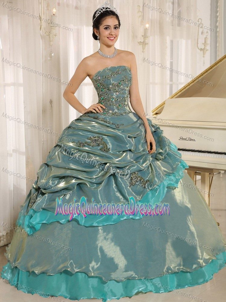Multi-color Embroidery Decorate Clearance Quinceanera Dresses in Fairhope
