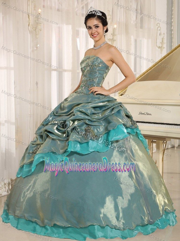 Multi-color Embroidery Decorate Clearance Quinceanera Dresses in Fairhope