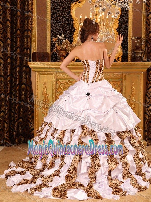 Brush Train for Gorgeous Quinceanera Gown in Courtland Leopard Design