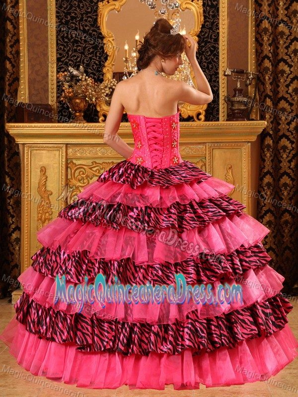 Beautiful Sweetheart Zebra Beaded Hot Pink Quince Dresses in Cottonwood