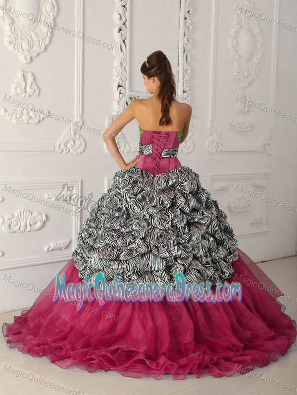 Red Ball Gown Strapless Zebra Quinceanera Gown in Carrollton with Chapel
