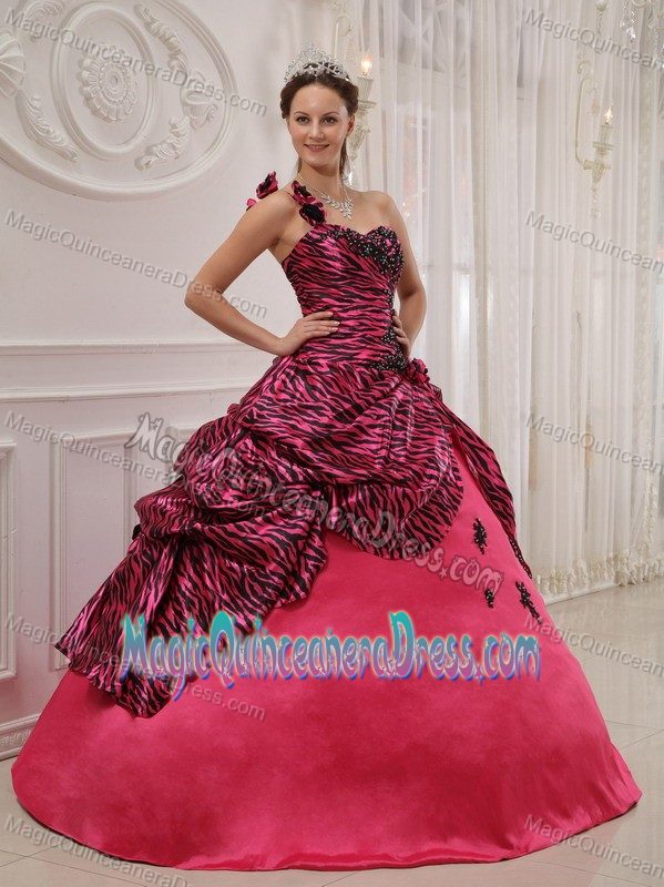 Pink Zebra Appliques for Sweet 16 Dresses in Bon Secour One Shoulder Design