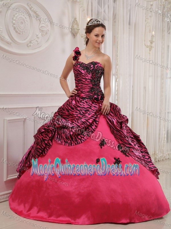 Pink Zebra Appliques for Sweet 16 Dresses in Bon Secour One Shoulder Design