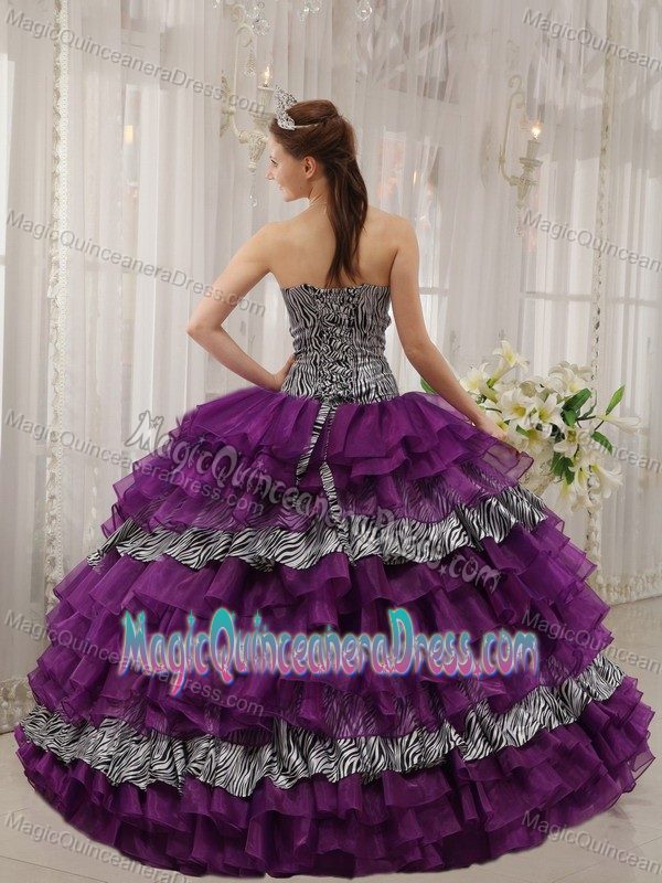 Sweetheart Zebra and Organza Beaded Purple Quince Dresses in Bay Minette