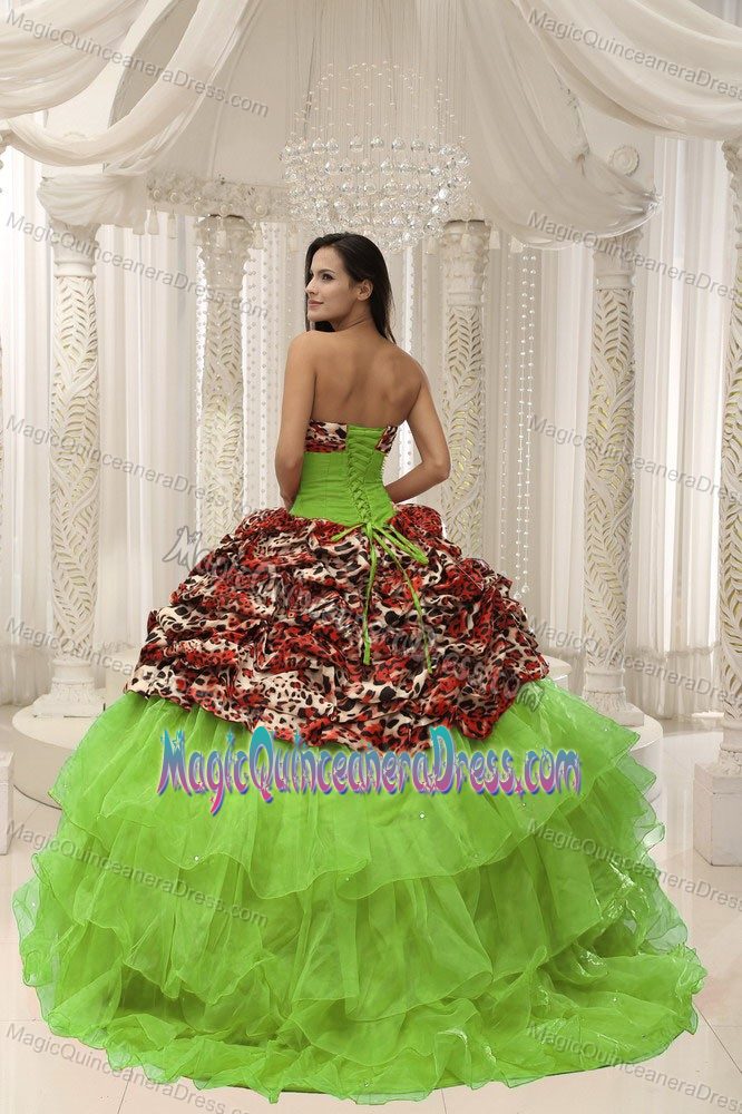 Organza Leopard Beading Decorate Quinceanera Gown Dresses in Aliceville
