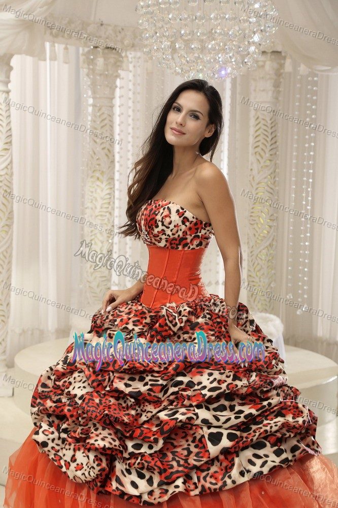 Leopard Beading for Quinceaneras Dress in Allgood with Pick-ups Decorate