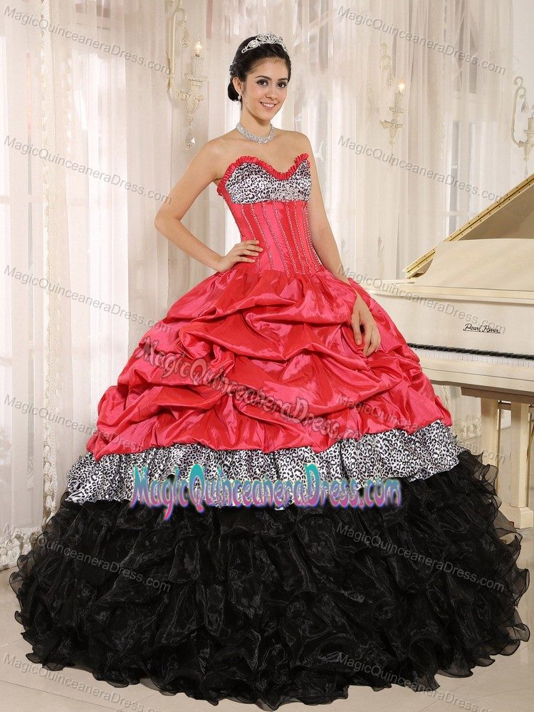 Leopard Watermelon and Black Ruffles and pick-ups for Quinceanera Gowns