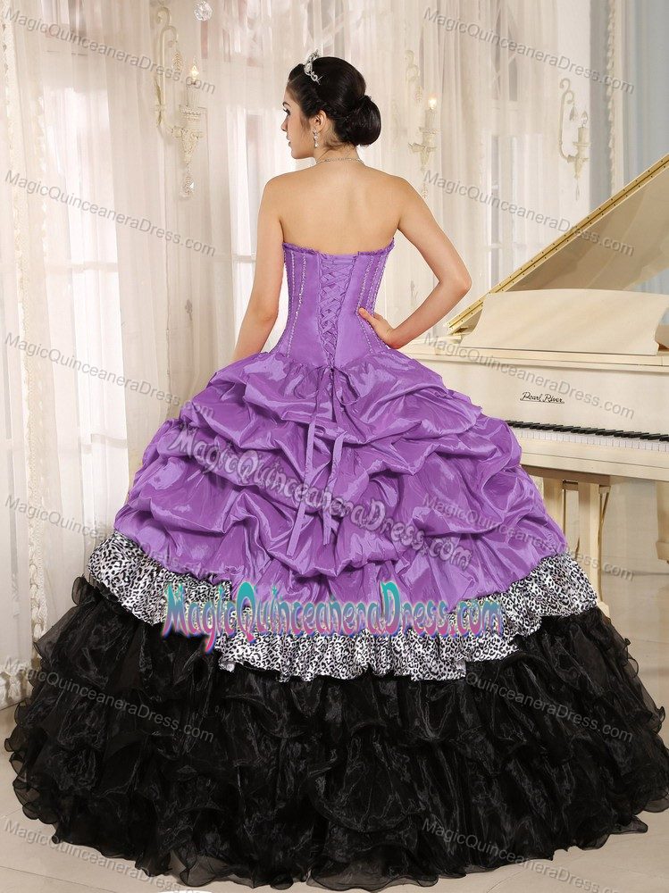 Ruffles Accent Purple and Black Sweetheart Quinceanera Gown in Albertville