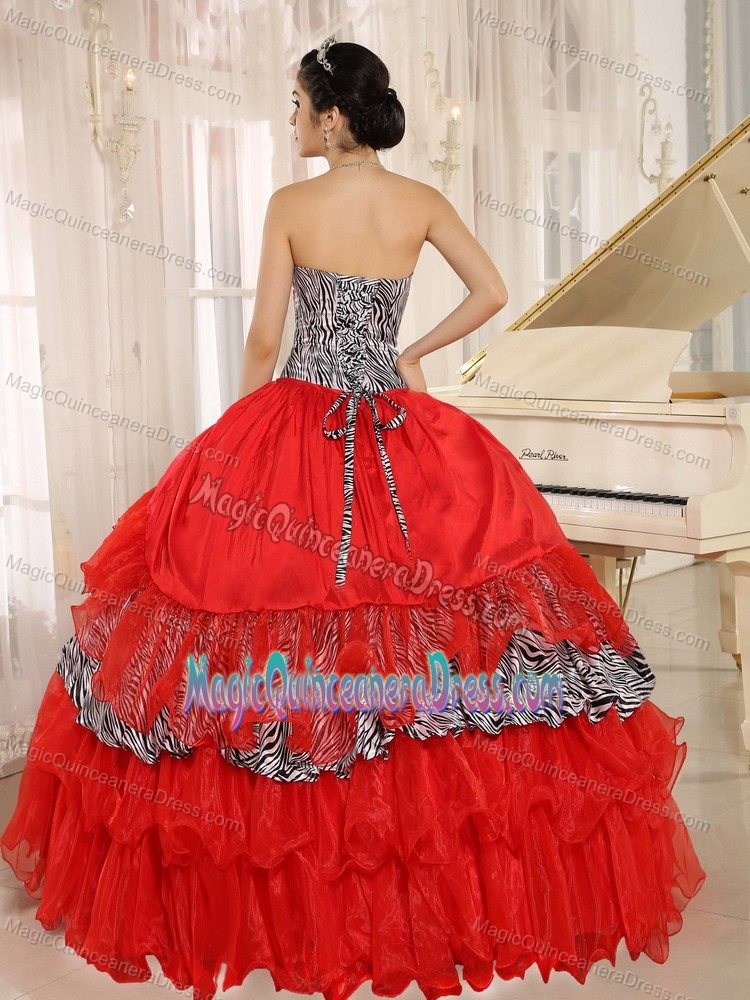 Zebra Red Sweetheart Quinces Dresses in Akron Ruffles and Beading Accent