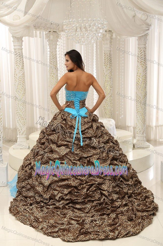 Leopard and Pick Ups Multi-color Sweet 16 Quinceanera Dresses near Sponer