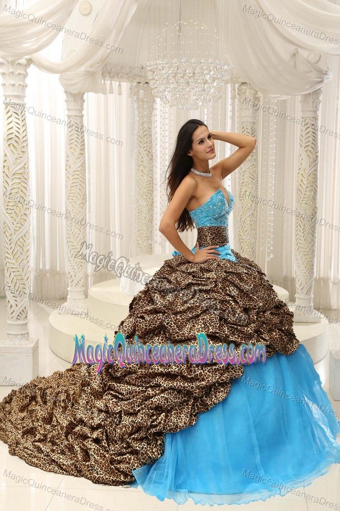 Chic Multi-color Dress for Quince with Pick Ups Leopard and Court Train