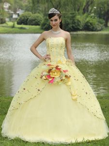Yellow Strapless A-line Quinceanera Gown with Beading and Flower in Dows