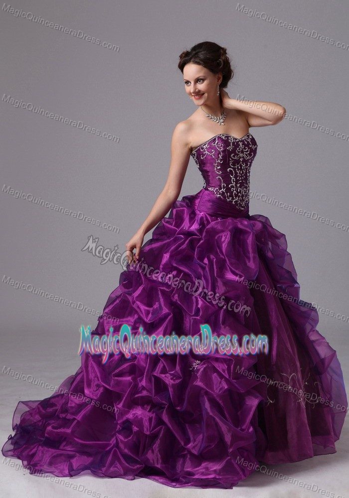 Popular Brush Train Eggplant Purple Quinceanera Gowns with Embroidery