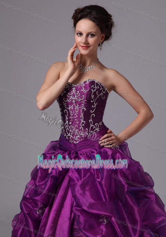 Popular Brush Train Eggplant Purple Quinceanera Gowns with Embroidery