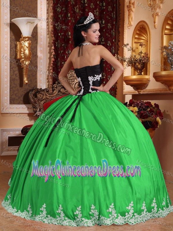 V-neck Floor-length Appliqued Quinceanera Dress in Spring Green in Greenville