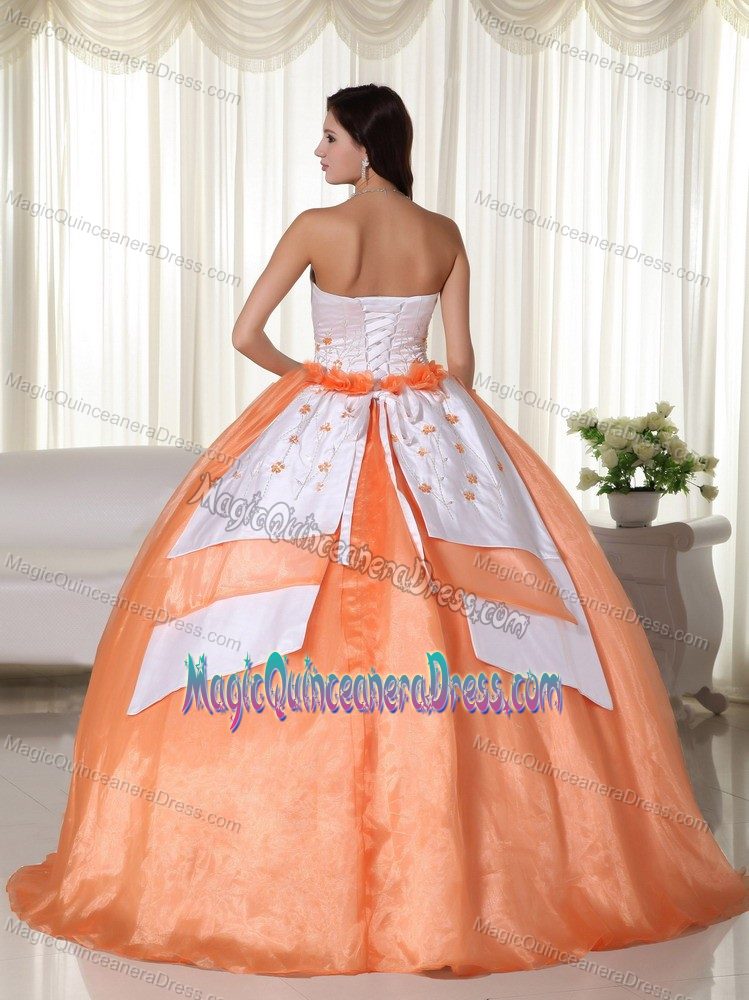 Orange Strapless Floor-length Organza Quinceanera Gown Dress in Clemson