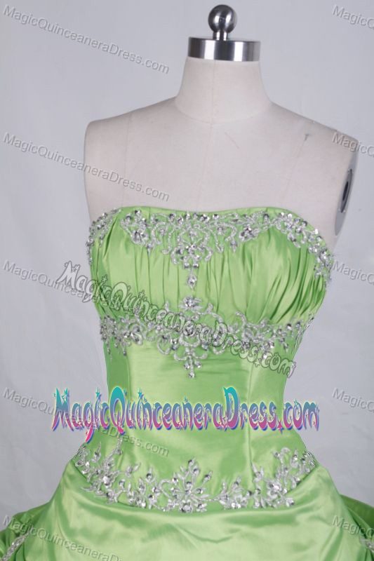 Appliques with Beading Strapless Green Quince Dress in Sabaneta Colombia