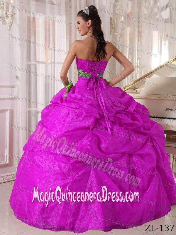 Ruching Appliques and Pick Ups Decorated Quinceanera Dress in Arlinton