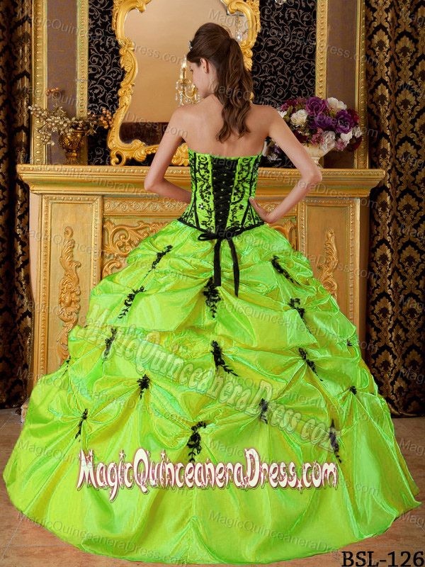 Appliques and Pick Ups Decorated Dress for Quince in Green near Oak Hill