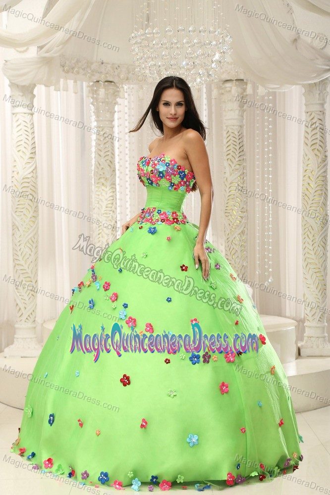 Spring Green Quninceaera Gown with Appliques in Buenaventura Colombia