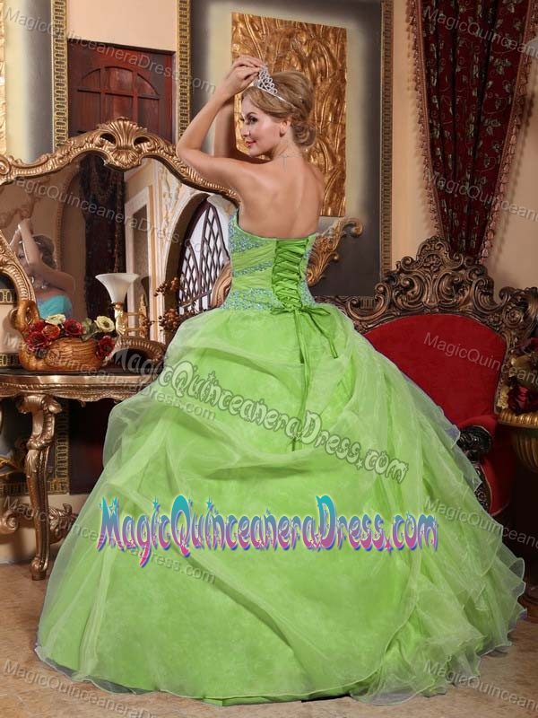 2013 Yellow Green Organza Ruched Quince Dresses in Rosario Argentina