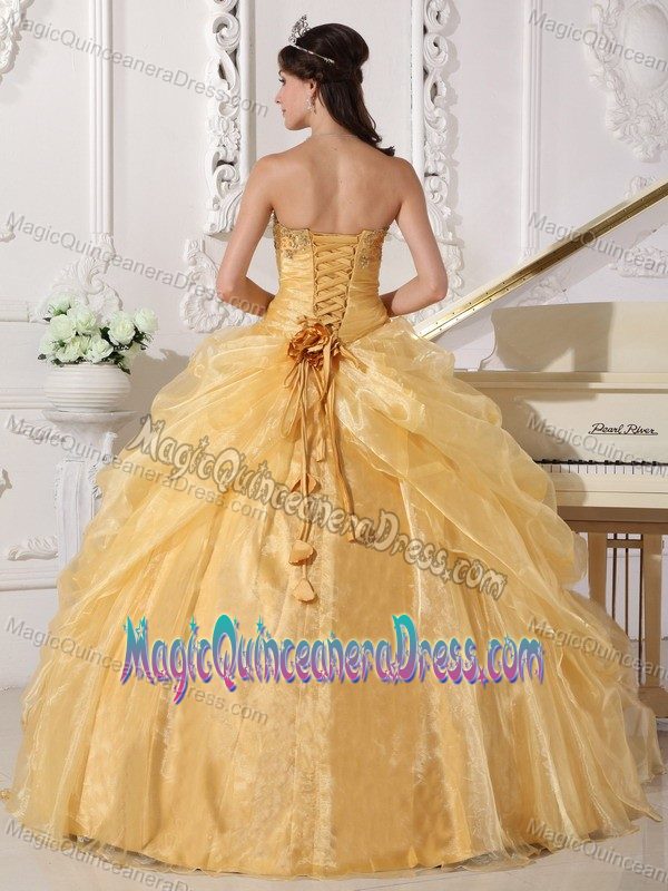 Gold Strapless Long Quinces Dresses with Embroidery and Flower in Lisle