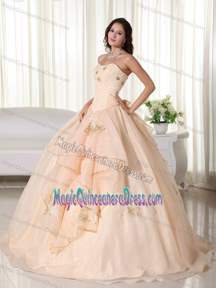 Cute Peach Strapless Long Sweet Sixteen Dresses with Embroidery in Lisle