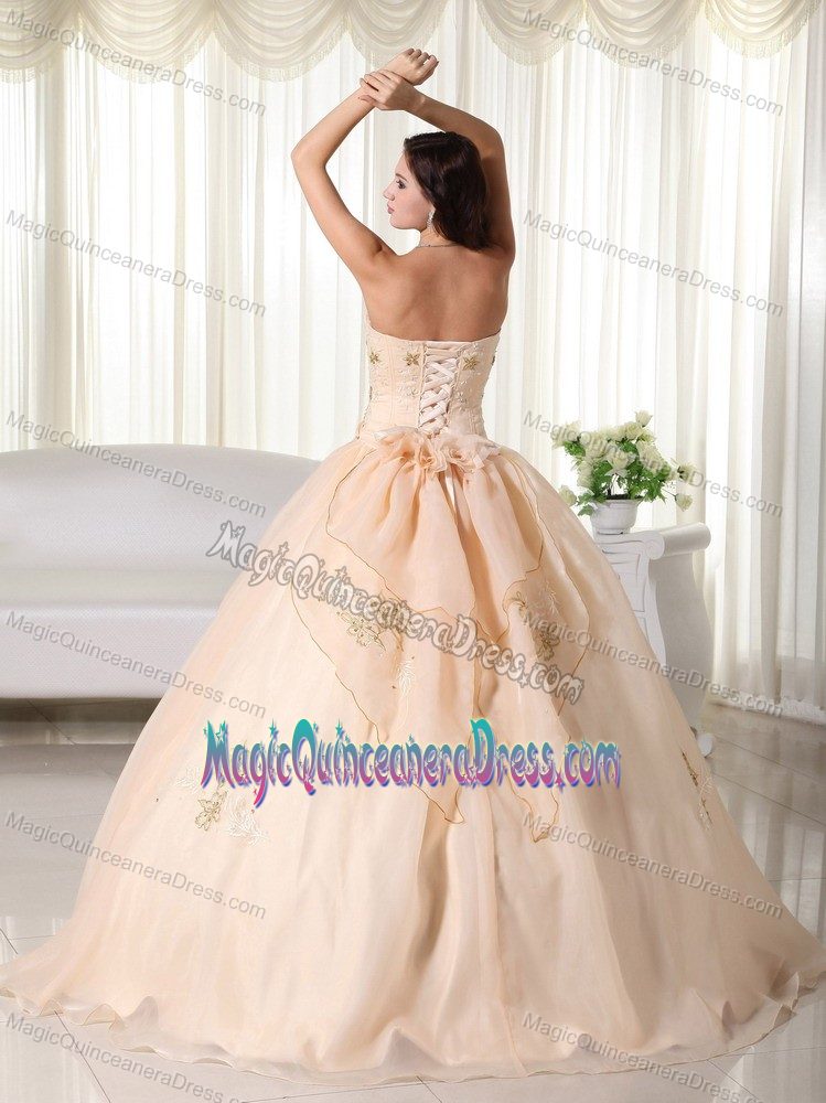 Cute Peach Strapless Long Sweet Sixteen Dresses with Embroidery in Lisle