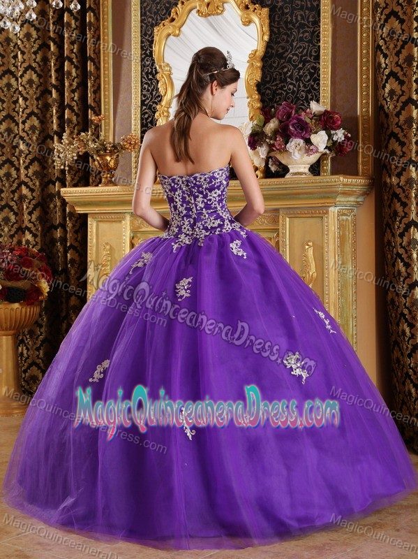 Purple Appliques Decorated Sweetheart Sweet 15 Dresses near Olympia