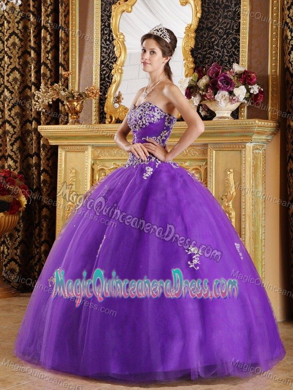 Purple Appliques Decorated Sweetheart Sweet 15 Dresses near Olympia